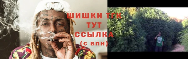 ешки Переславль-Залесский