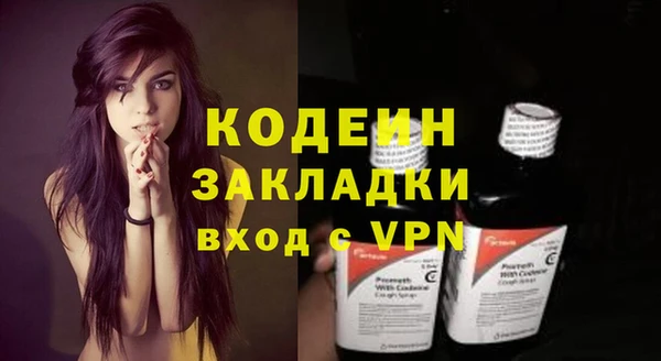 эйфоретик Пересвет