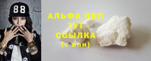 эйфоретик Пересвет